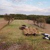 Działka Kruteczek