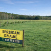 Działka Klempicz