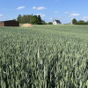 Jastków - działka budowlana 1500m2