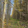 Działka Ruszelczyce