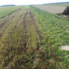 Miłków Kolonia. Piękna działka budowlana!