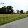 Działka Wilcza