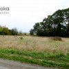 Działka Wilcza