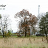 Działka Wilcza