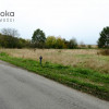 Działka Wilcza