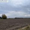 Banino - działka