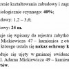 Mieszkanie w Kamienicy w centrum Krakowa - www.wachowicz.nieruchomosci.pl