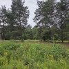 Działka Duchnów