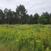 Działka Duchnów