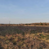 Siedlisko - spokojna wieś w przepięknej okolicy!