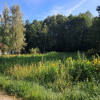 Działka Pęclin