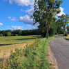 Działka Duba