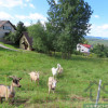 Działka Koniaków