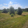 Działka,Luta, Włodawa, 1,5 ha, budowlana, urokliwa