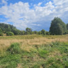 Działka,Luta, Włodawa, 1,5 ha, budowlana, urokliwa