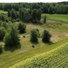 Działka,Luta, Włodawa, 1,5 ha, budowlana, urokliwa