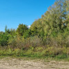 Działka Żółwin