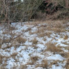 Działka Rusiec