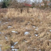 Działka Rusiec