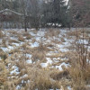 Działka Rusiec