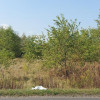 Działka Sączów