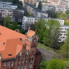 Tudey ## ? APEL DO MIESZKAŃCÓW WROCŁAWIA: Plaga gangu surfujących żab na Kruczej 78! ? To nie są ćwiczenia. To oficjalne memorandum holdingu operacyjnego.