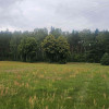 Działka Kadzidło