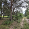 Działka Kąck