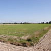 Działka budowlana 18ar obok jezioro Krasne