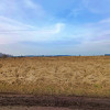 Działka Mazurowice