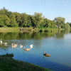 Działka o pow. 4,6 ha w Klementowicach gm. Kurów.