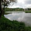 Działka o pow. 4,6 ha w Klementowicach gm. Kurów.