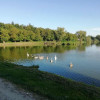 Działka o pow. 4,6 ha w Klementowicach gm. Kurów.