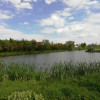 Działka o pow. 4,6 ha w Klementowicach gm. Kurów.