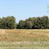 Działka Aleksandria