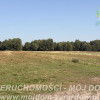 Działka Aleksandria