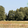 Działka Aleksandria