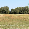 Działka Aleksandria