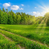 Działka Łączyńska Huta ul.  