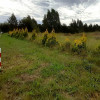 Glincz/działka budowlana