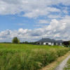 Działka inwestycyjna 81.7a w Krasne