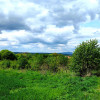 Działka Jasło