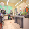 Lokal Dębowiec