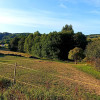 Działka Kowalowy