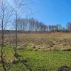 Nieruchomość - Brzozowiec