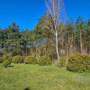 Nieruchomość - Brzozowiec
