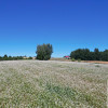 Działka Lubcza