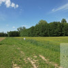 Działka Zdonia