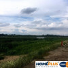 Działka usł. turystyki 250 m od Bugu-Arciechów