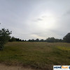 Działka usł. turystyki 250 m od Bugu-Arciechów